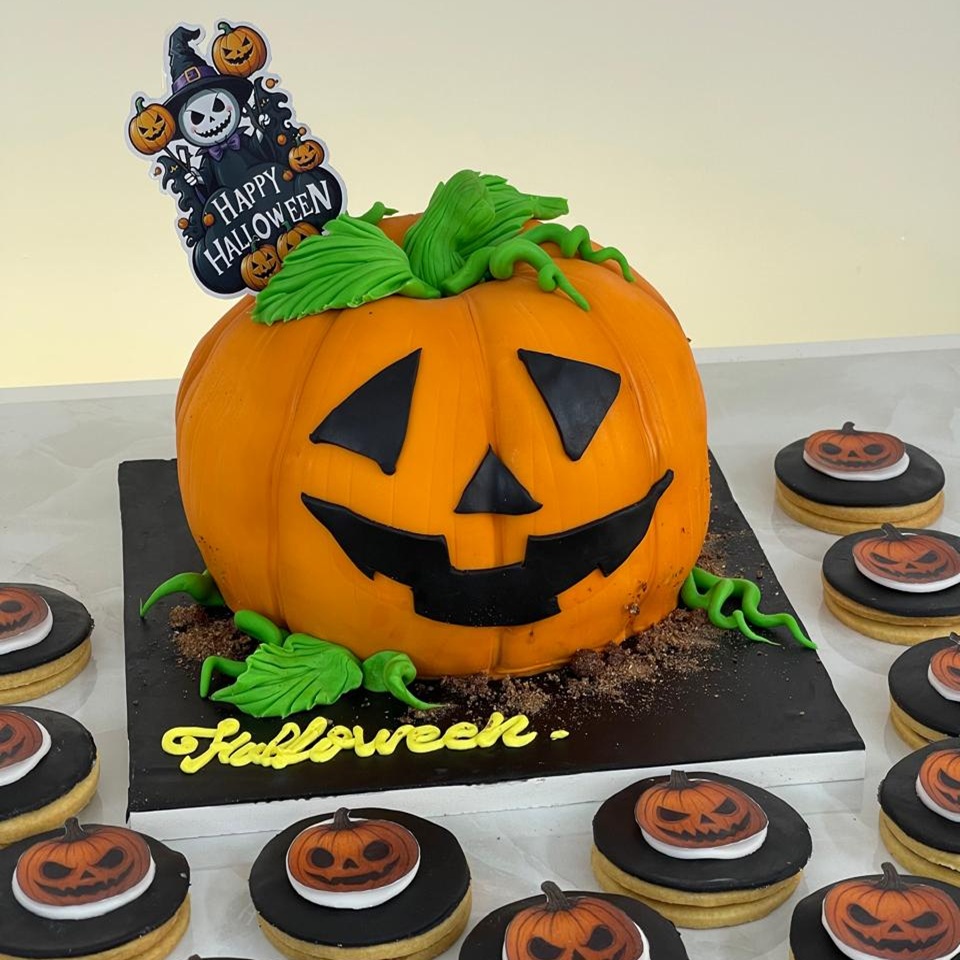 whatsapp image 2026 02 25 at 13.26.04